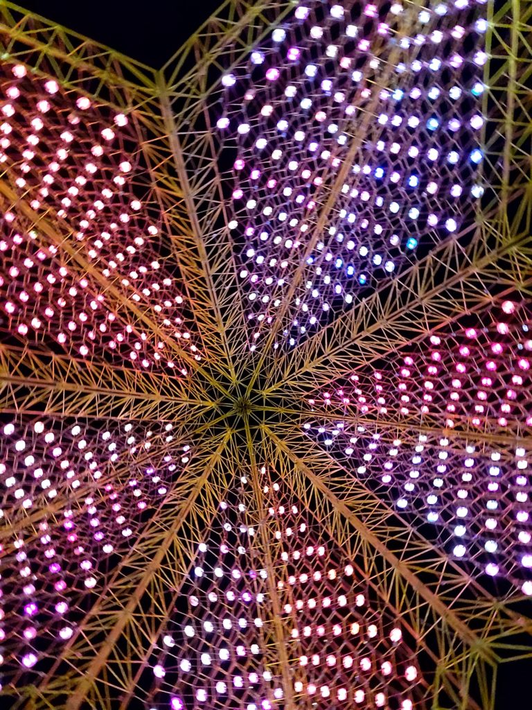 The Rising Star, outside of the University Events Center The Rising Star, outside of the University Events Center