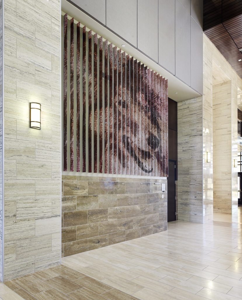 TAMU College of Vet Medicine TAMU College of Vet Medicine wall