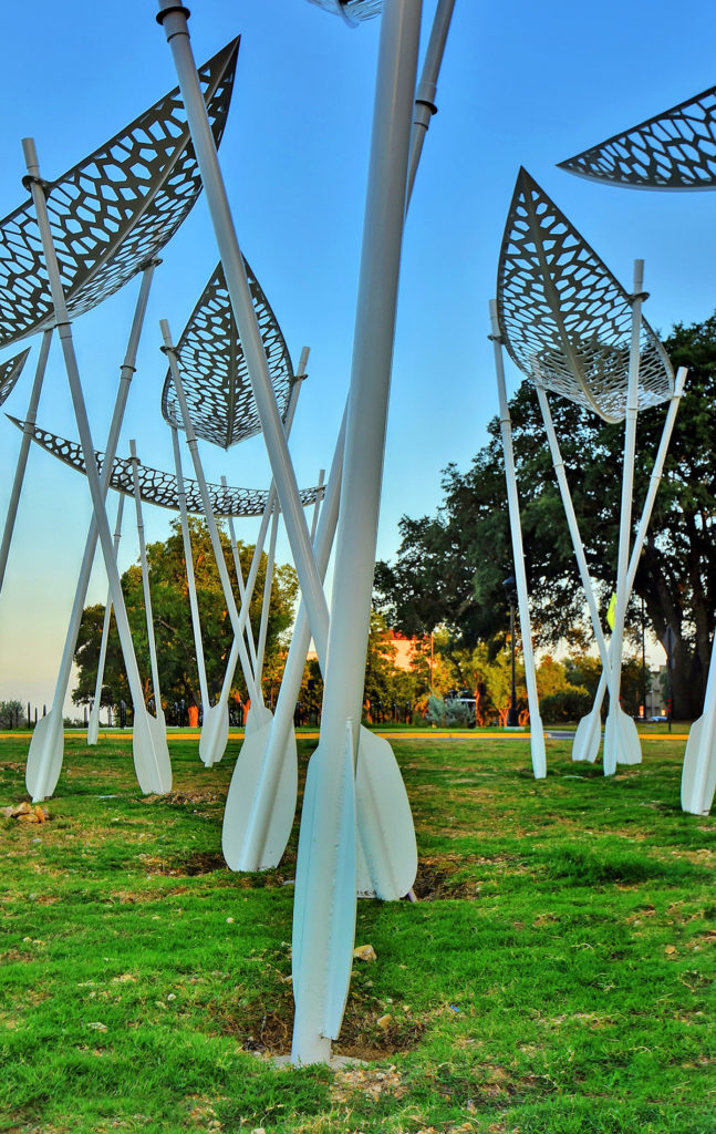 003-244916-003_5510653