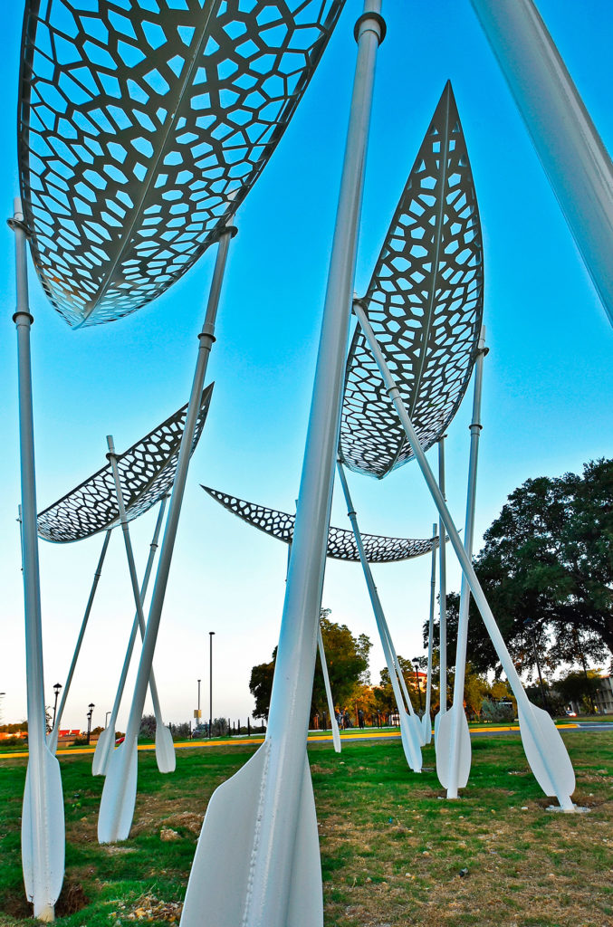 005-244916-005_5510655