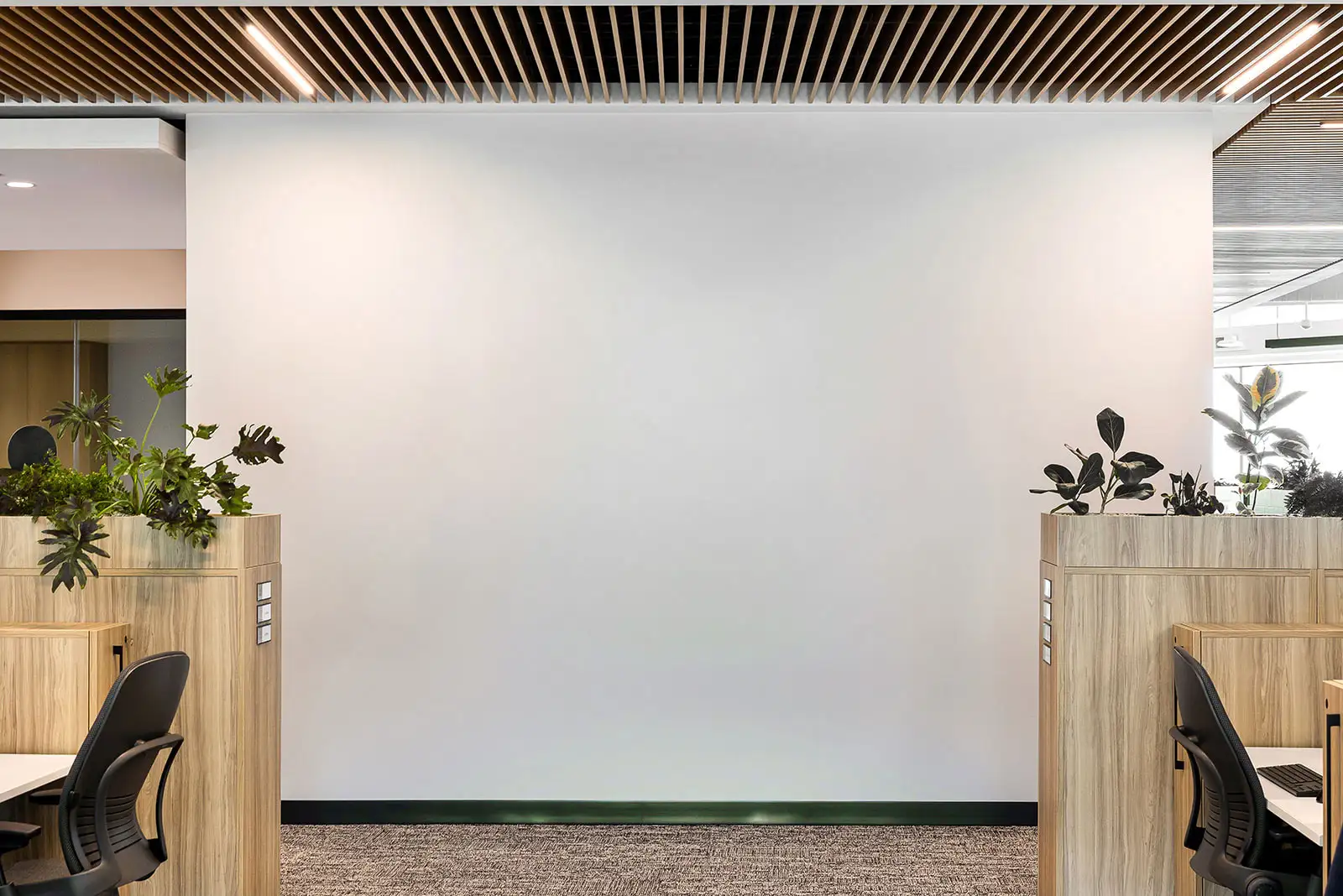 Cream office wall with no art.