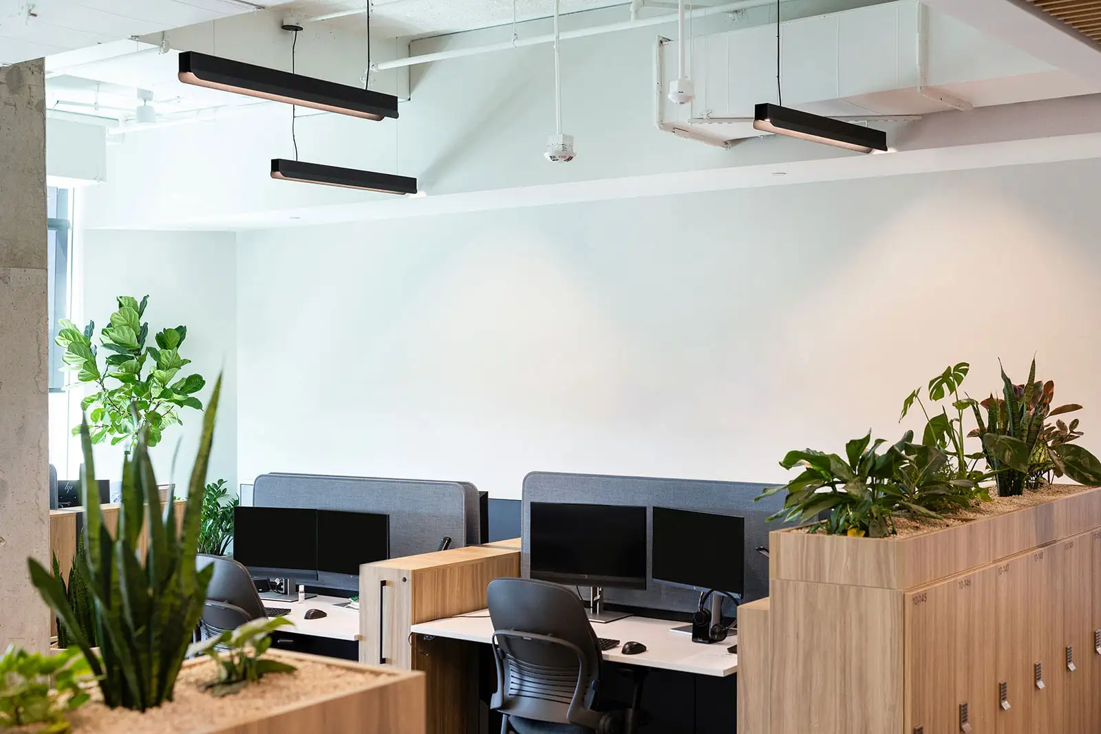 Office workstation with no art on wall